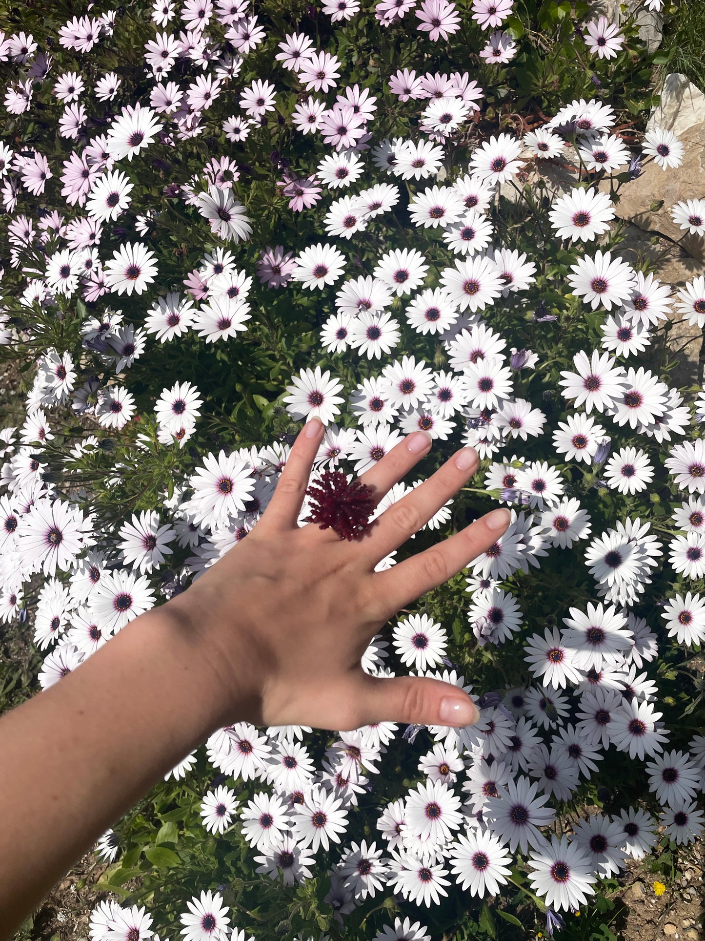 Pompom Ring - All Colours